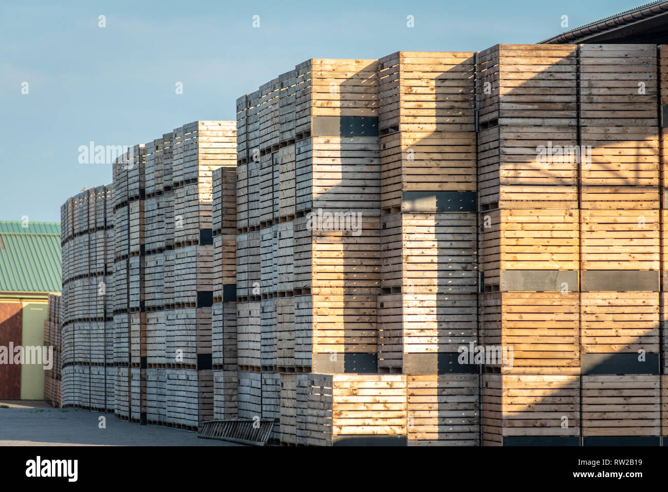 Wooden pallets lay stacked in an storage yard. Broniewo,  Kuyavian-Pomeranian Voivodeship, Poland Stock Photo - Alamy