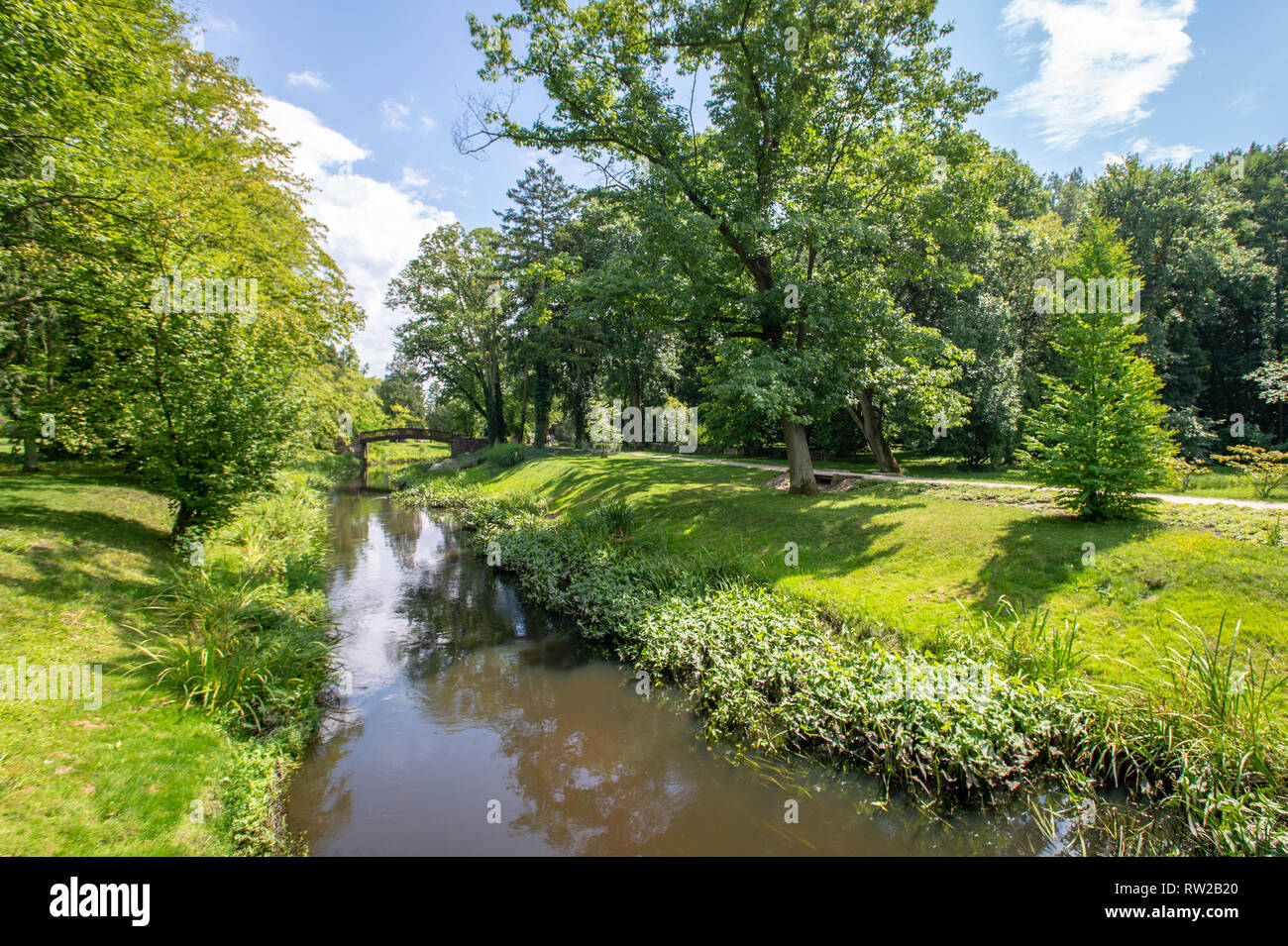 Bridge surrounded trees leading hi-res stock photography and images - Alamy