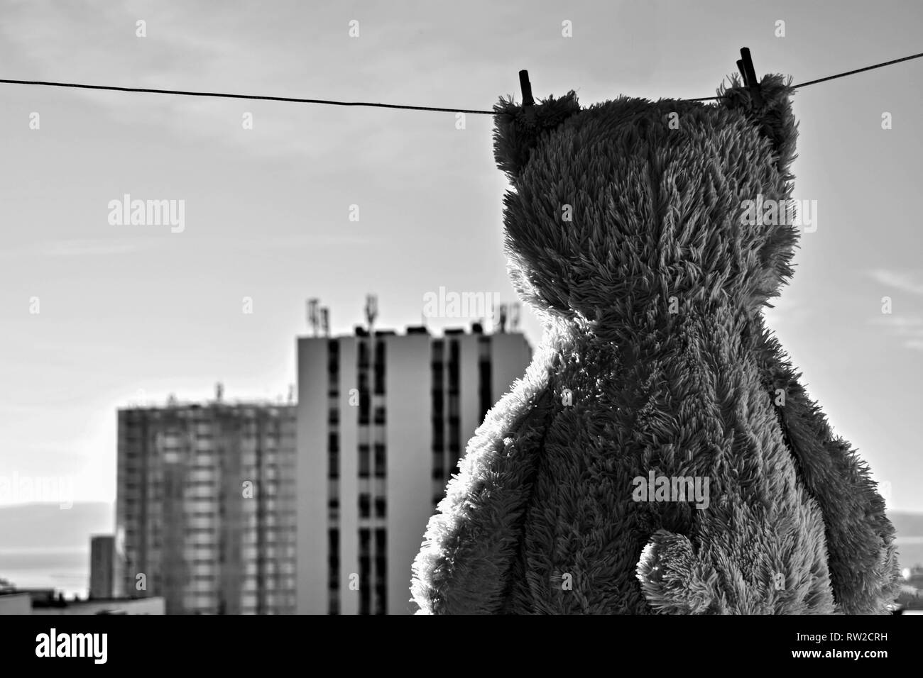 Teddy bear toy  hanging on rope by clothes pin with buildings in background/ City view - Image Stock Photo