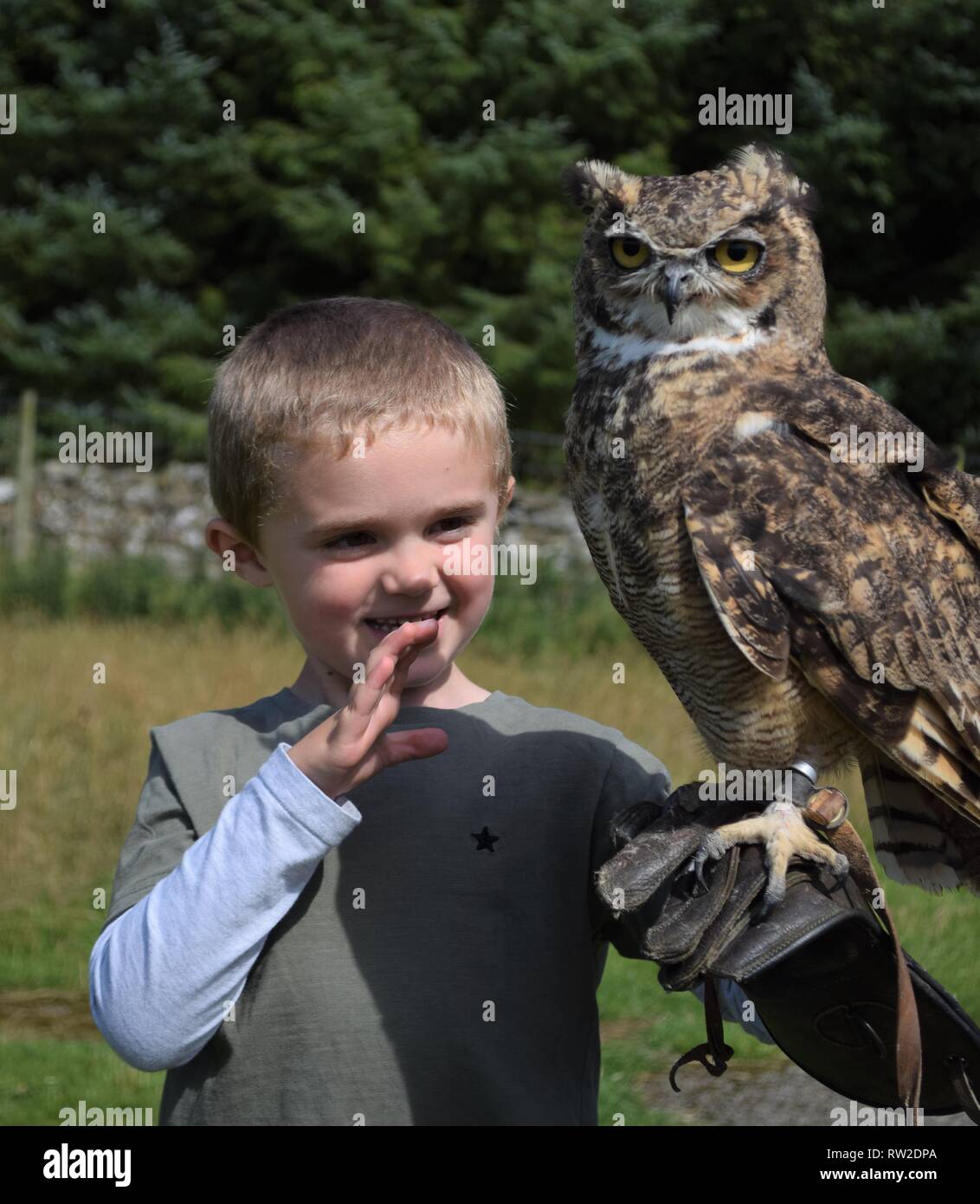 Young boy holding an owl Stock Photo