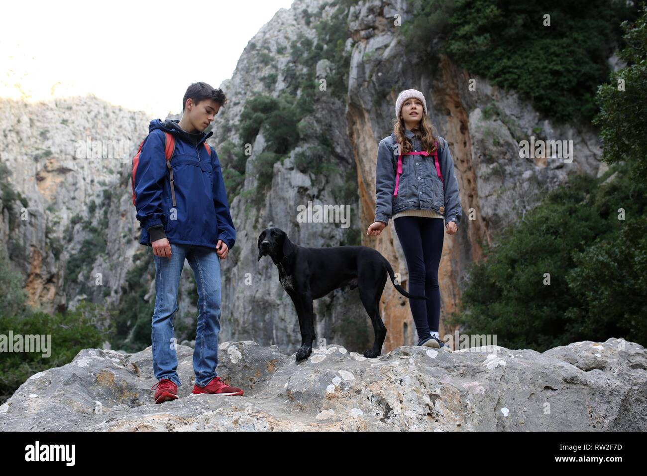 Children hiking with dog in mountain landscape, outdoor adventure Stock Photo