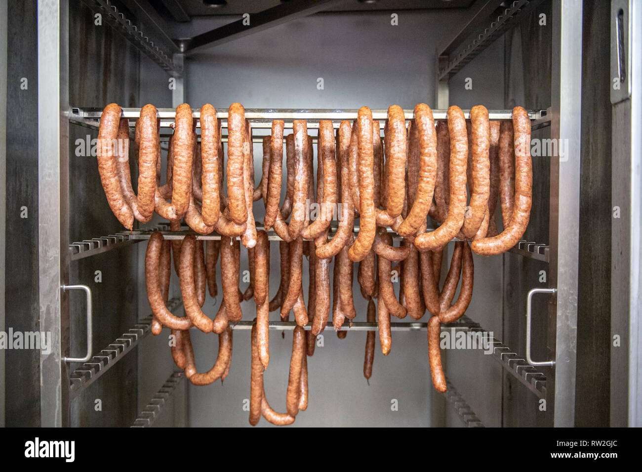 Links of cooked sausage hung over rack in proofing cabinet, Radom, Masovian Voivodeship, Poland Stock Photo