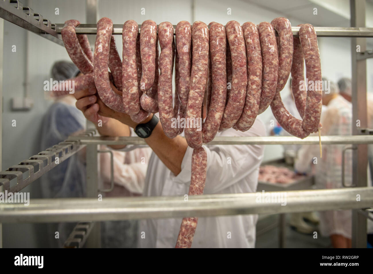 Links of freshly cased sausage hung on rack ready to be cooked, Radom, Masovian Voivodeship, Poland Stock Photo