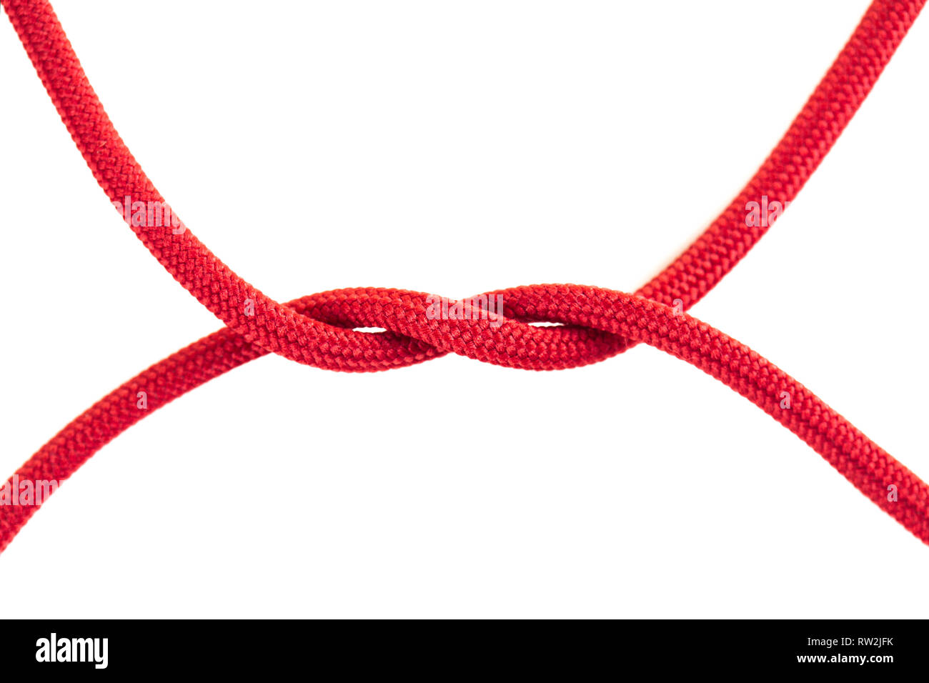 red shoe laces tied together against white background Stock Photo Alamy