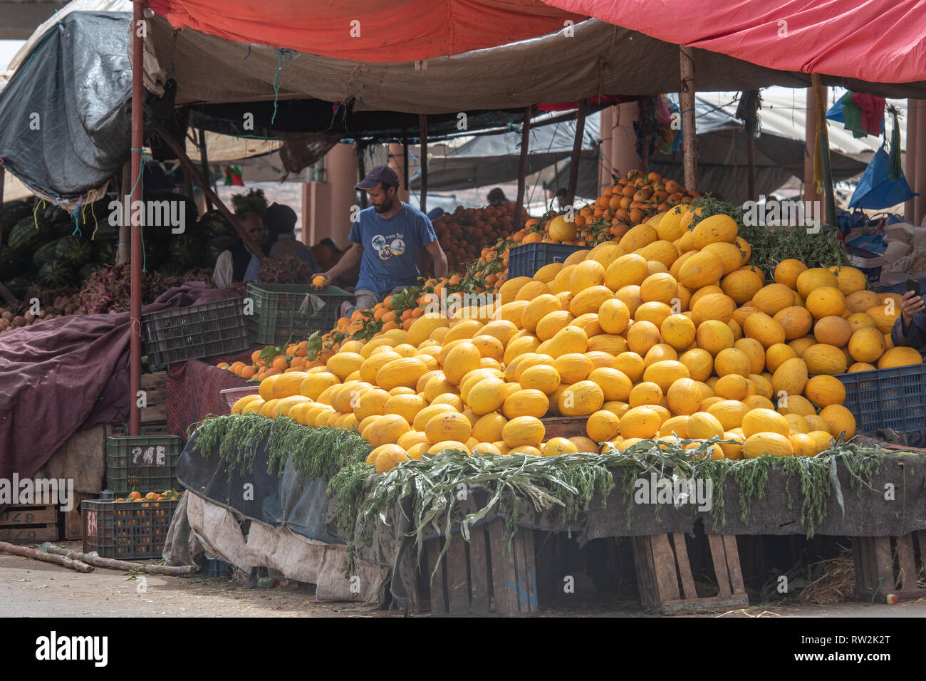 Canary melons stacked high on stall at souk (outdoor market) while man browses, Tighmert Oasis, Morocco Stock Photo
