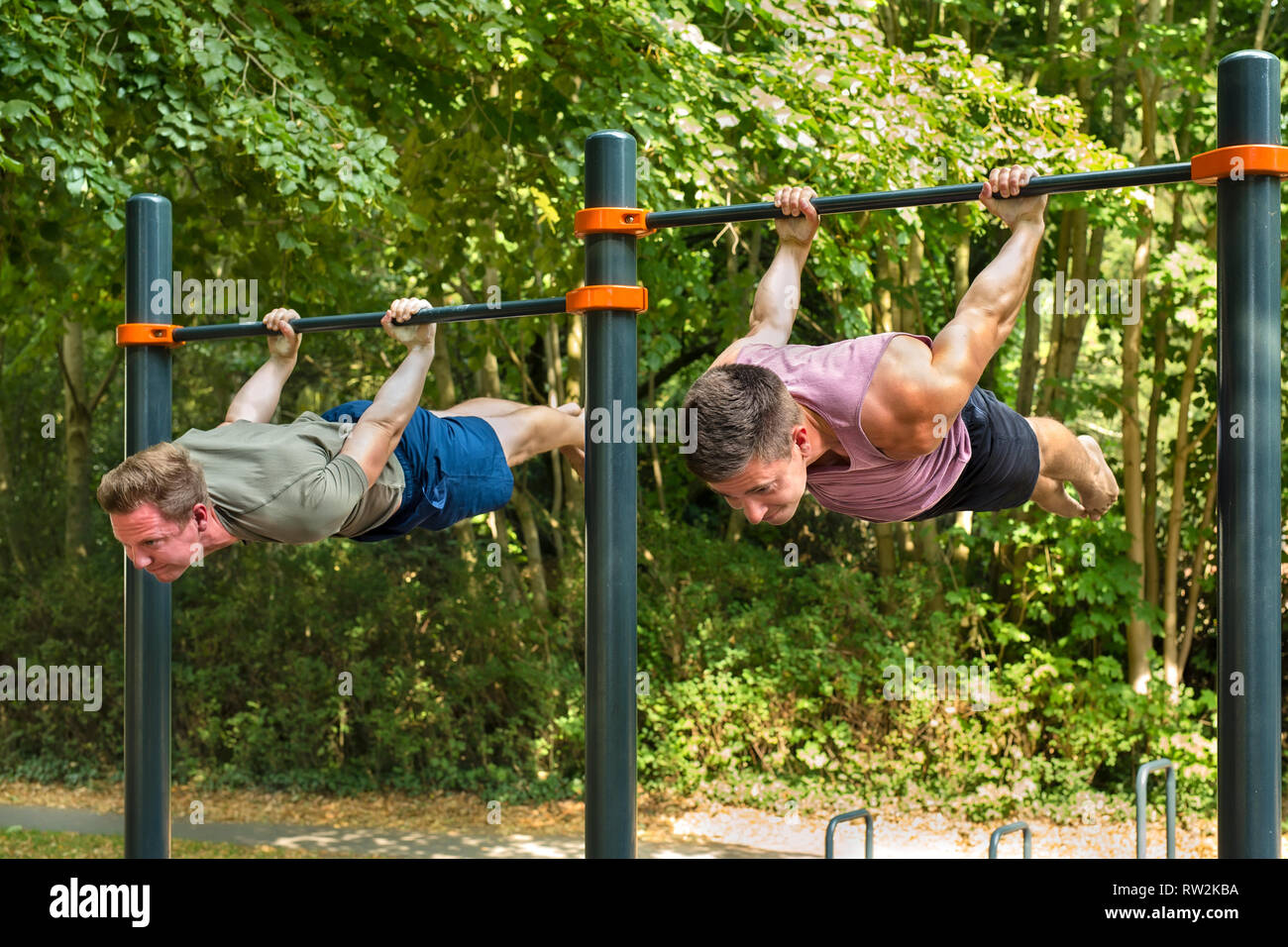 Young athletes hanging belly-down parallel to the ground, back lever  workout on horizontal bar for body mastery on sunny day in summer Stock  Photo - Alamy