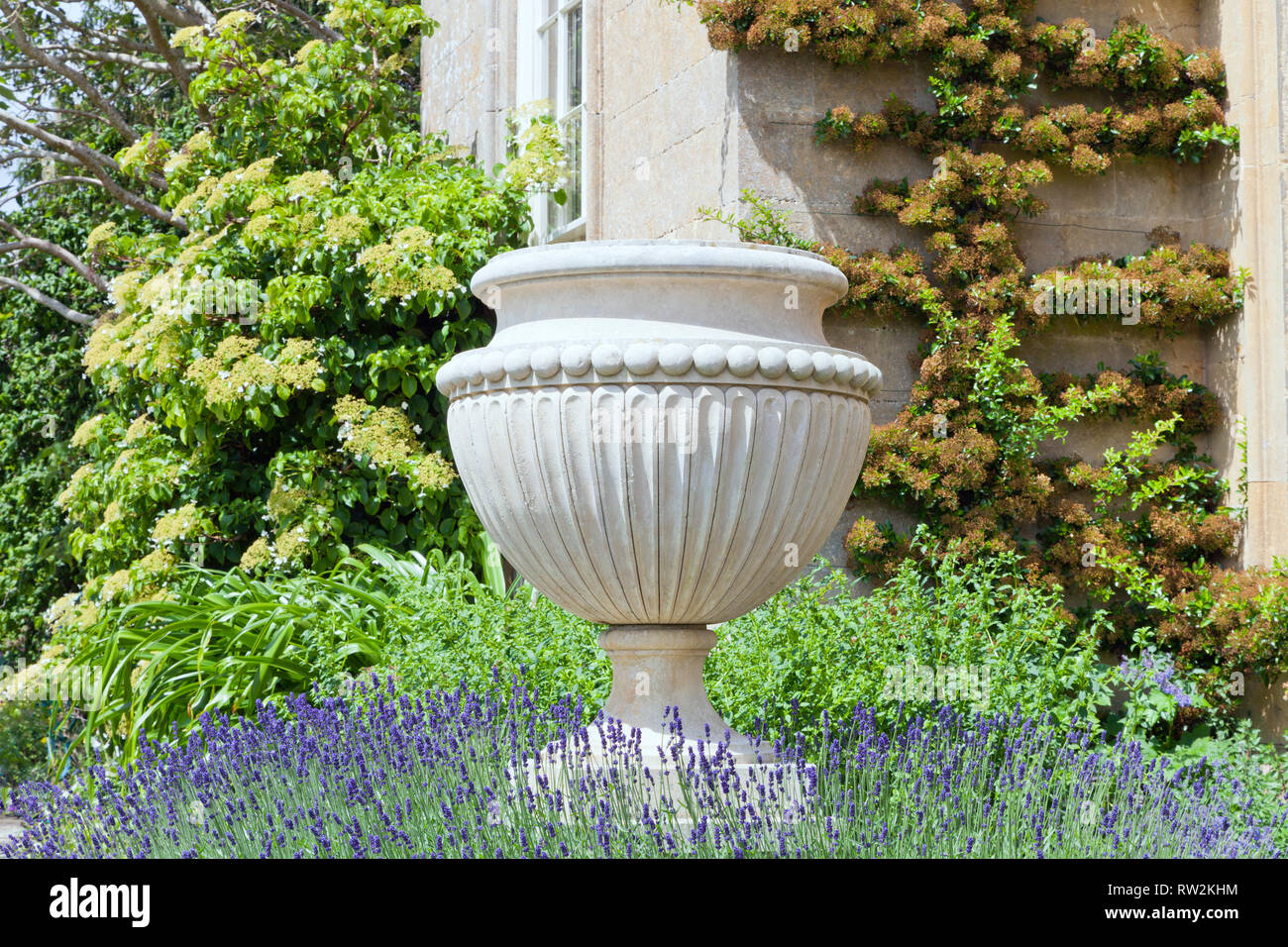 White stone ornamental vase on a pedestal surrounded by lavender