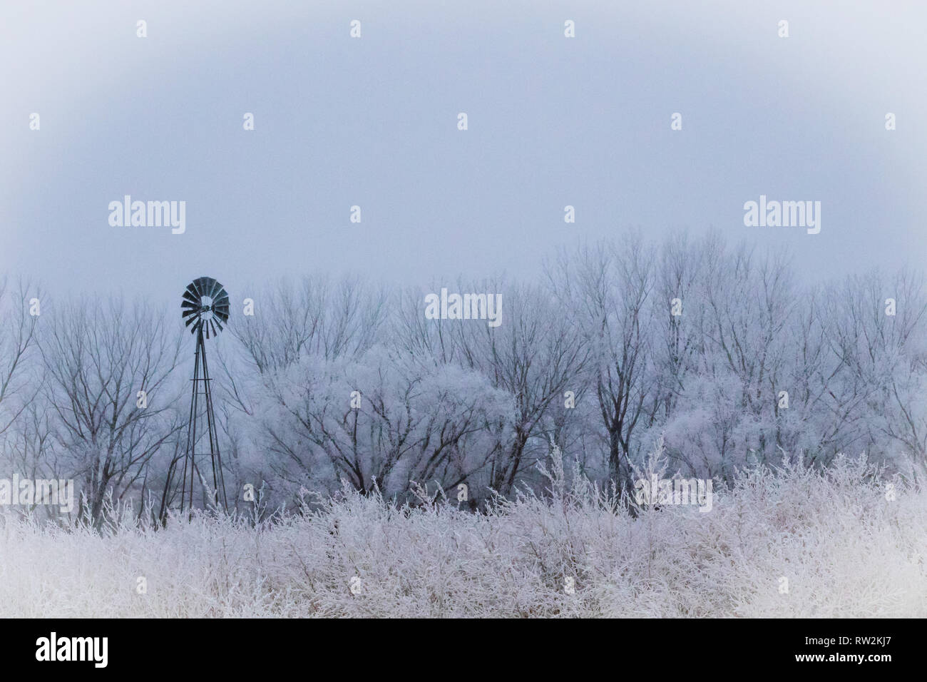 Down a Kansas back road stands a windmill among the frozen, frosted trees and grass. Oakley, Kansas 2019 Stock Photo