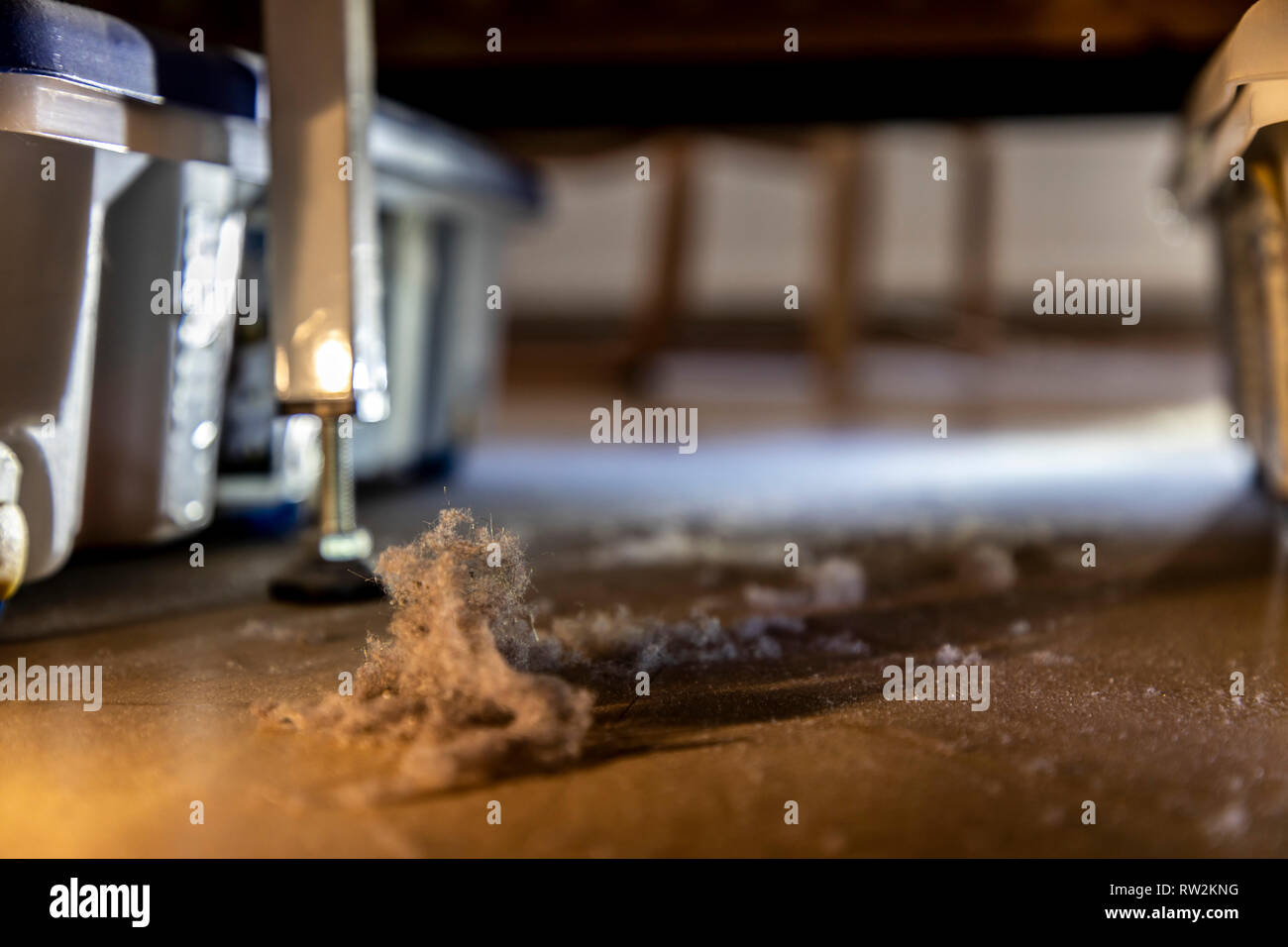 House dust, woolly mice, dustbin, gather under a bed, Stock Photo