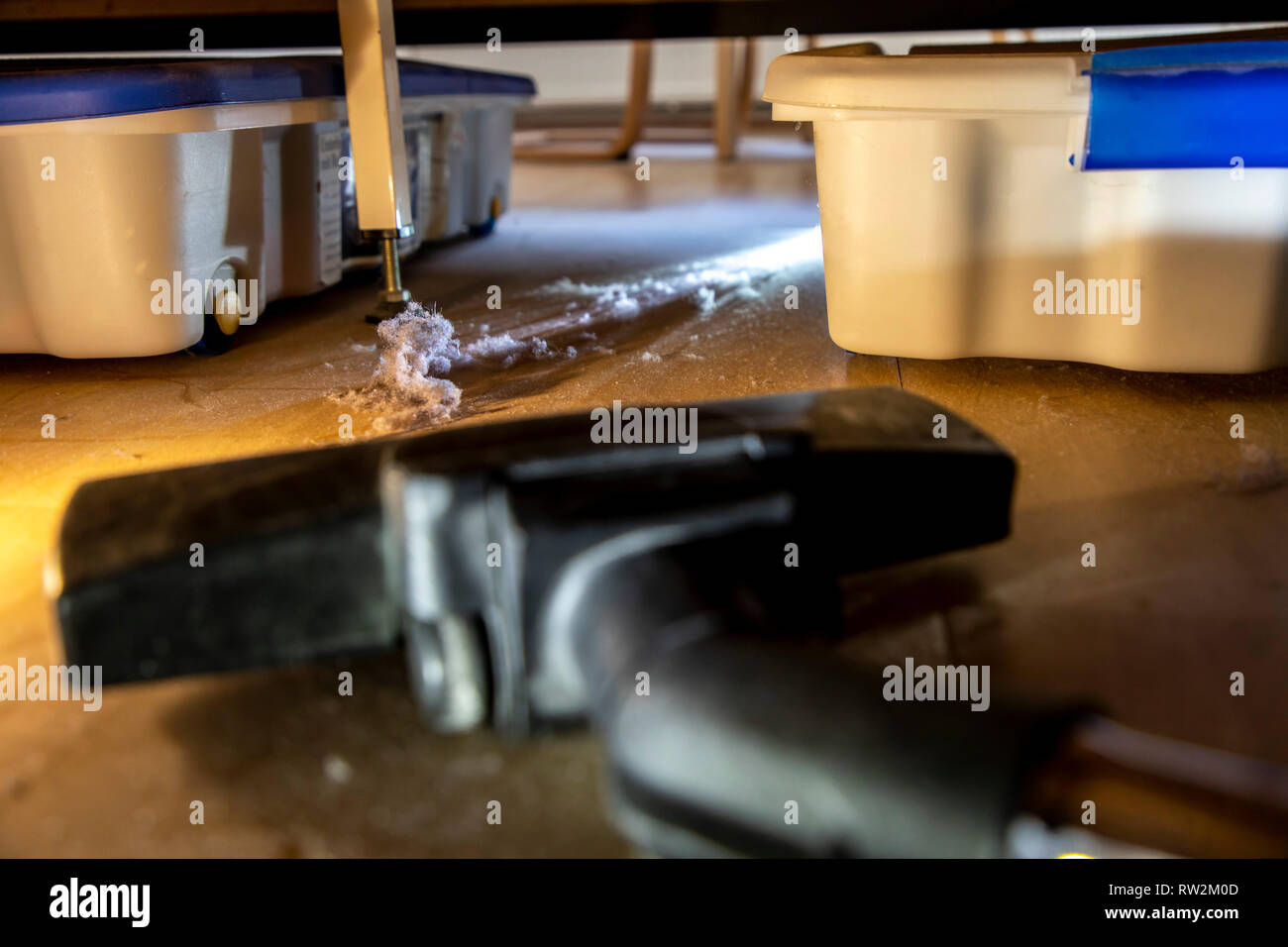 Dust mites bed hires stock photography and images Alamy