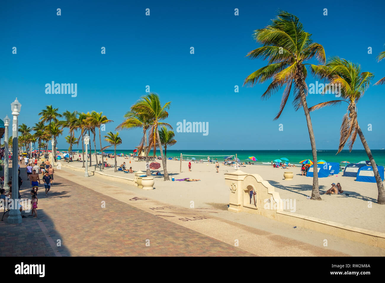 Hollywood Beach Florida Palm Tree Hi res Stock Photography And Images 