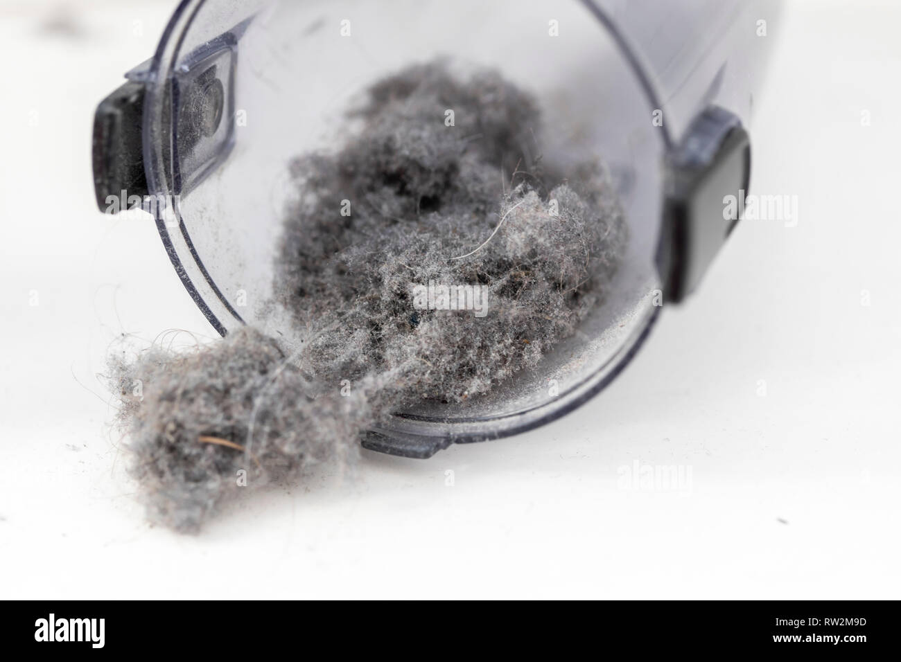 House Dust Dust Mice Dust Balls In The Collection Container Of A Vacuum Cleaner Stock Photo Alamy