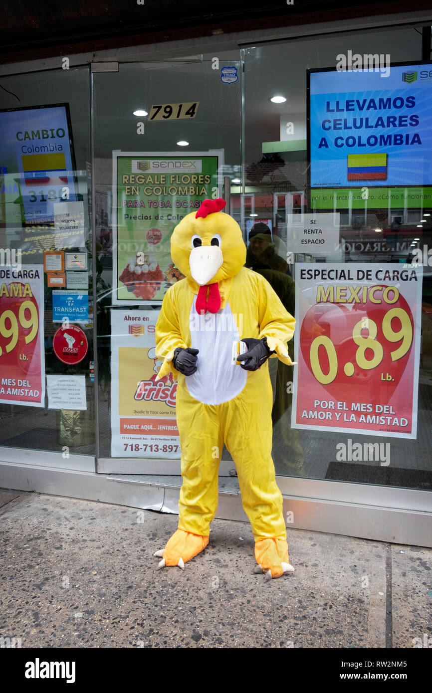 A Latin American man dressed as a chicken hands out leaflets outside of Casablalnca Group, a place to exchange foreign currency in Jackson Heights. Stock Photo