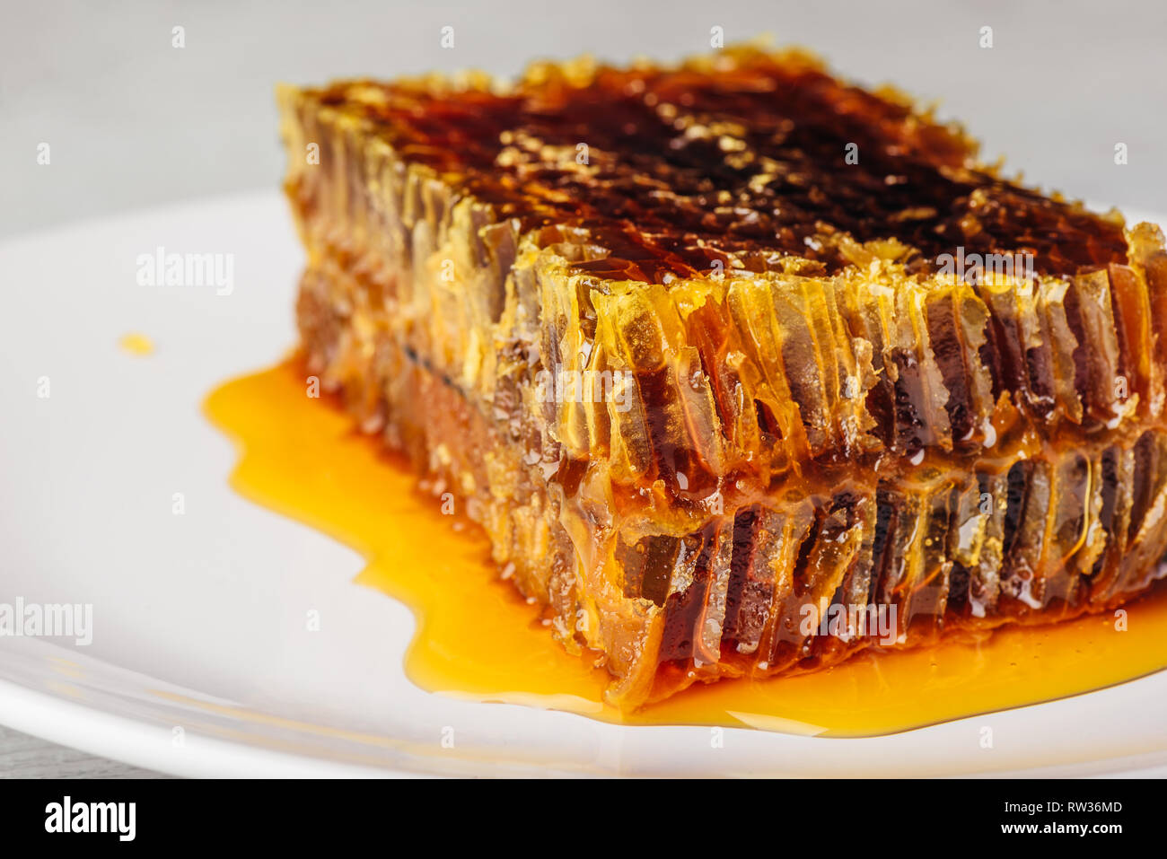 Close-up of delicious honeycomb on light background Stock Photo