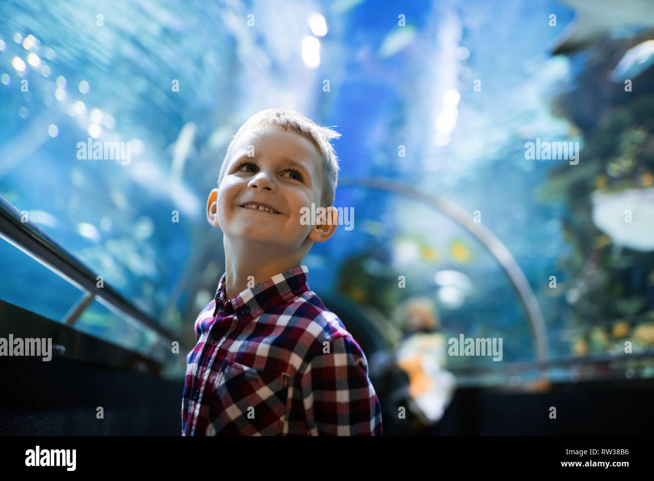 Serious boy looking in aquarium with tropical fish Stock Photo