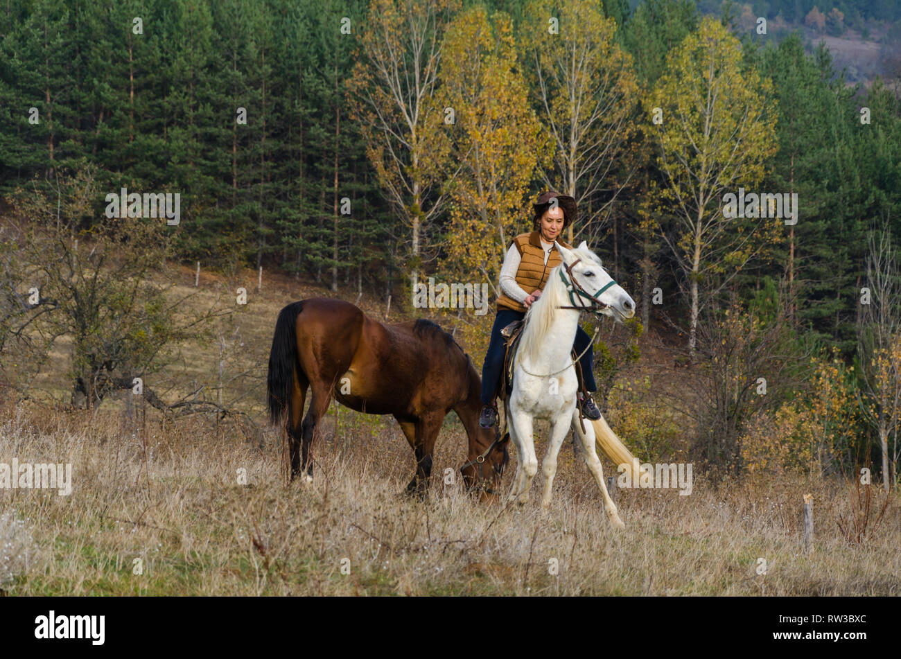 Kastamonu,TURKEY-November 05,2017: Woman is riding on a white horse in the forest.There's a brown horse next to her. Stock Photo