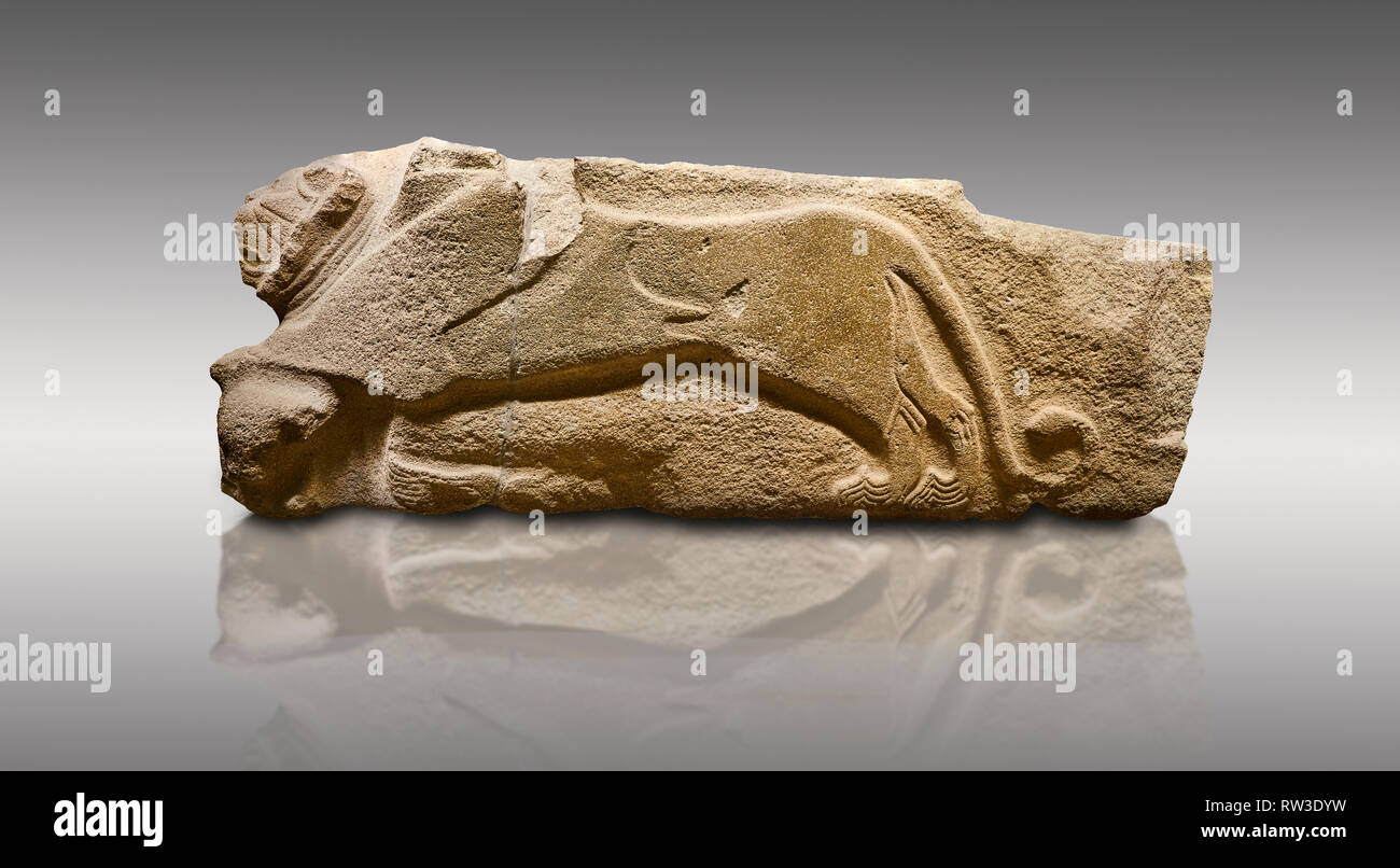 Alaca Hoyuk - Hittite lion sculptures corner Stone. . Andesite. Alacahoyuk, 1399 - 1301 B.C. Anatolian Civilisations Museum, Ankara, Turkey.  Corner s Stock Photo