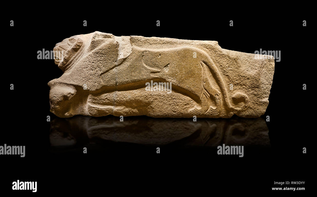 Alaca Hoyuk - Hittite lion sculptures corner Stone. . Andesite. Alacahoyuk, 1399 - 1301 B.C. Anatolian Civilisations Museum, Ankara, Turkey.  Corner s Stock Photo