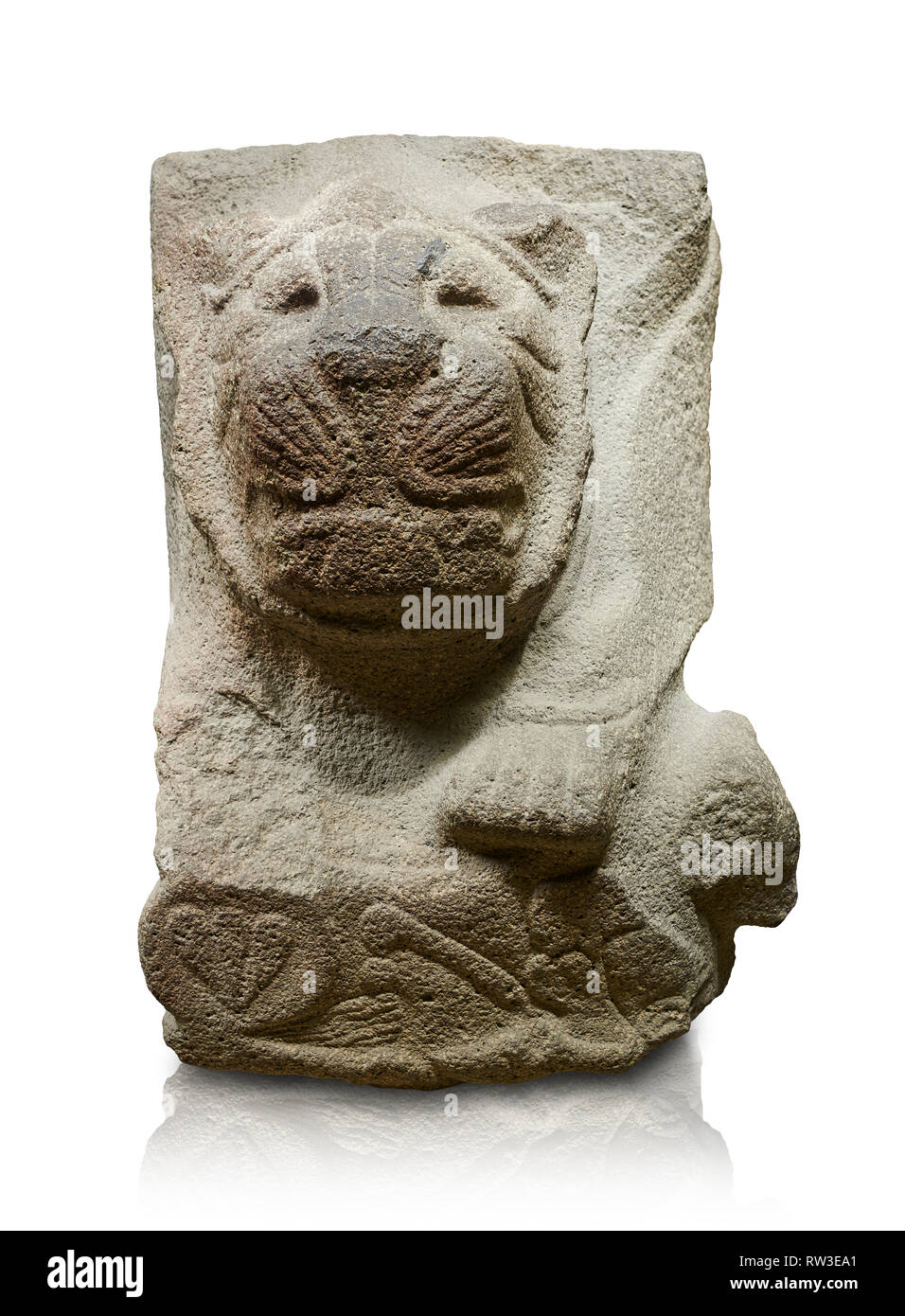 Alaca Hoyuk - Hittite lion sculpture corner Stone . Andesite. Alacahoyuk, 1399 - 1301 B.C. Anatolian Civilisations Museum, Ankara, Turkey.  Corner sto Stock Photo