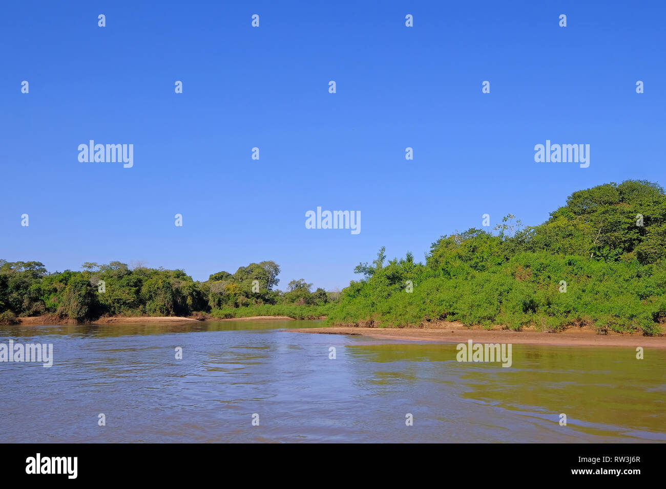 Densely forested shores of the Aquidauana river in the brazilian Pantanal, Aquidauana, Mato Grosso Do Sul, Brazil Stock Photo