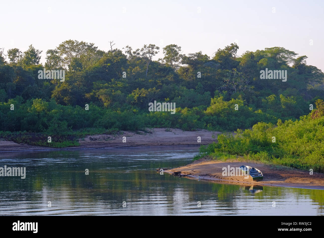 Densely forested shores of the Aquidauana river in the brazilian Pantanal, Mato Grosso Do Sul, Brazil Stock Photo