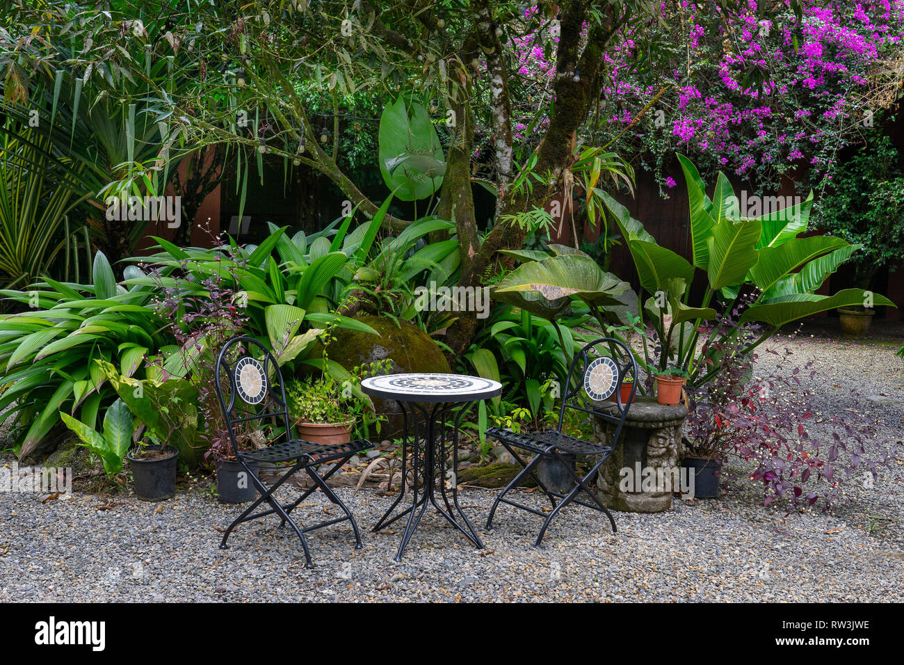 Outdoor Table and chairs in rain forest garden in Sarapiqui,Costa Rica