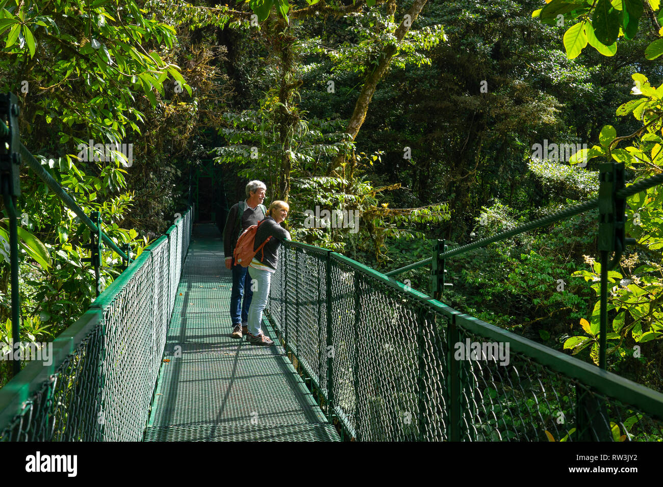 Tourists on Hanging bridge walk in Monteverde cloud forest walk,Costa Rica,Central America Stock Photo