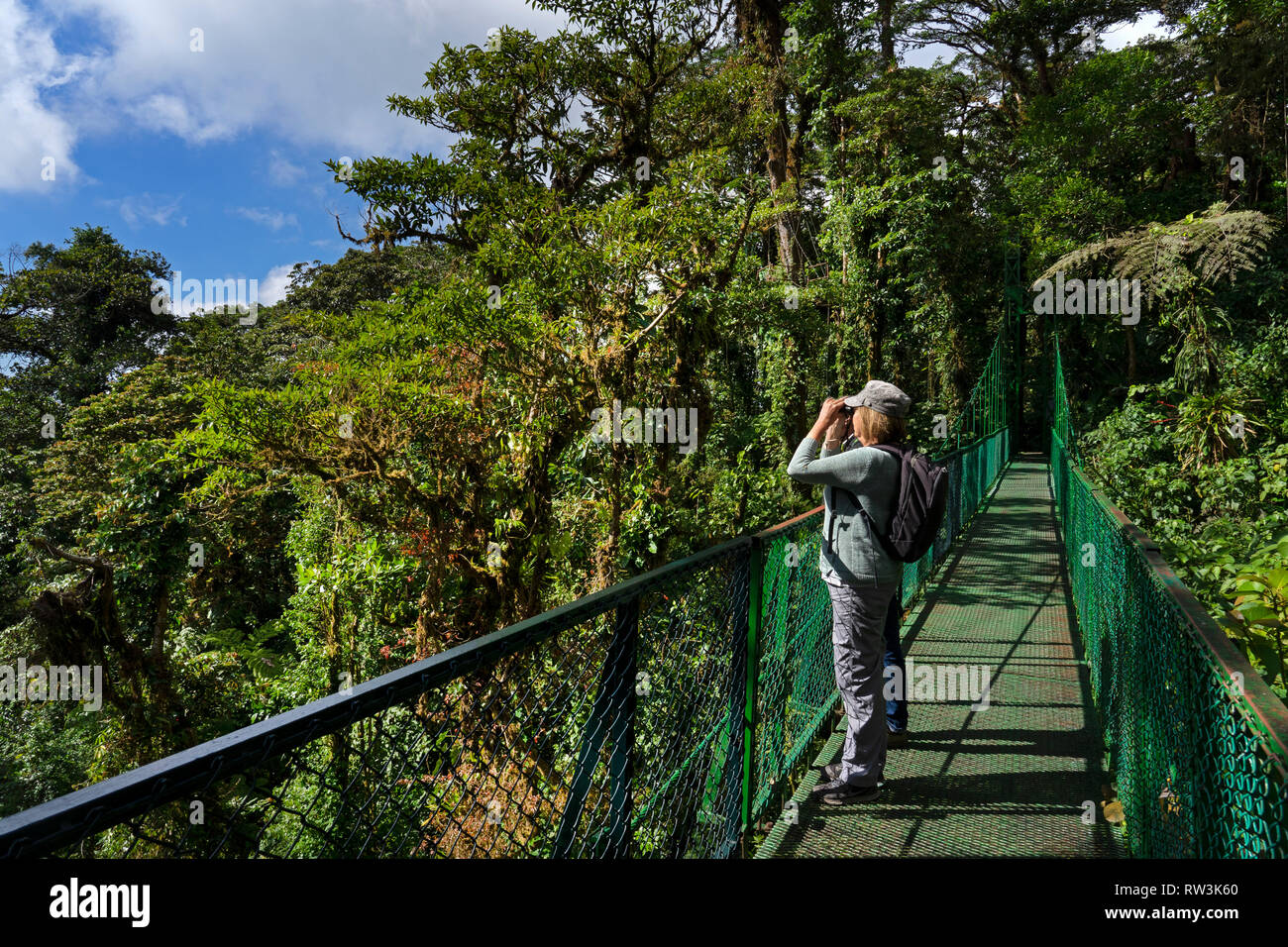 Tourist on Hanging bridge walk at Monteverde cloud forest,Costa Rica,Central America Stock Photo