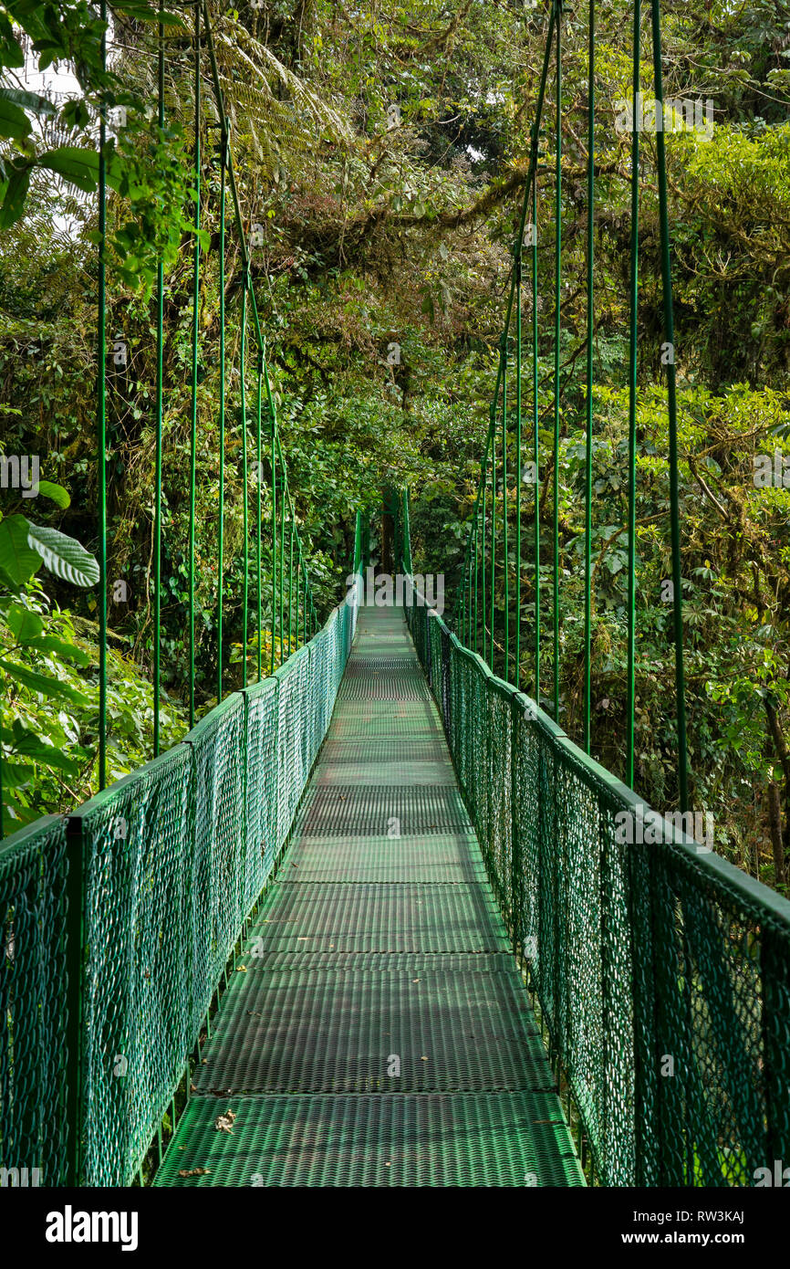 Hanging Bridges at Monteverde Cloud Forest,Costa Rica, Central America Stock Photo