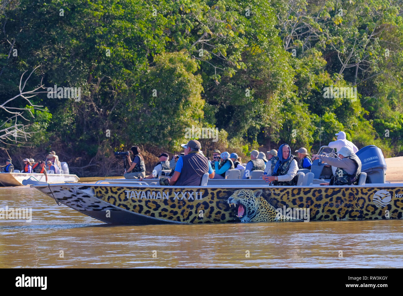 PORTO JOFRE, MATO GROSSO, BRAZIL, JULY 27, 2018: Tourists and guide on boat  tour for Jaguar wildlife watching, Pantanal Stock Photo - Alamy