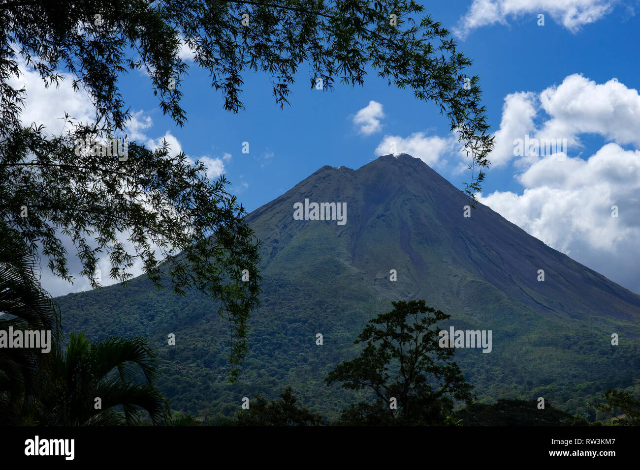 Arenal Volcano National Park ,la Fortuna,Costa Rica,Central America Stock Photo