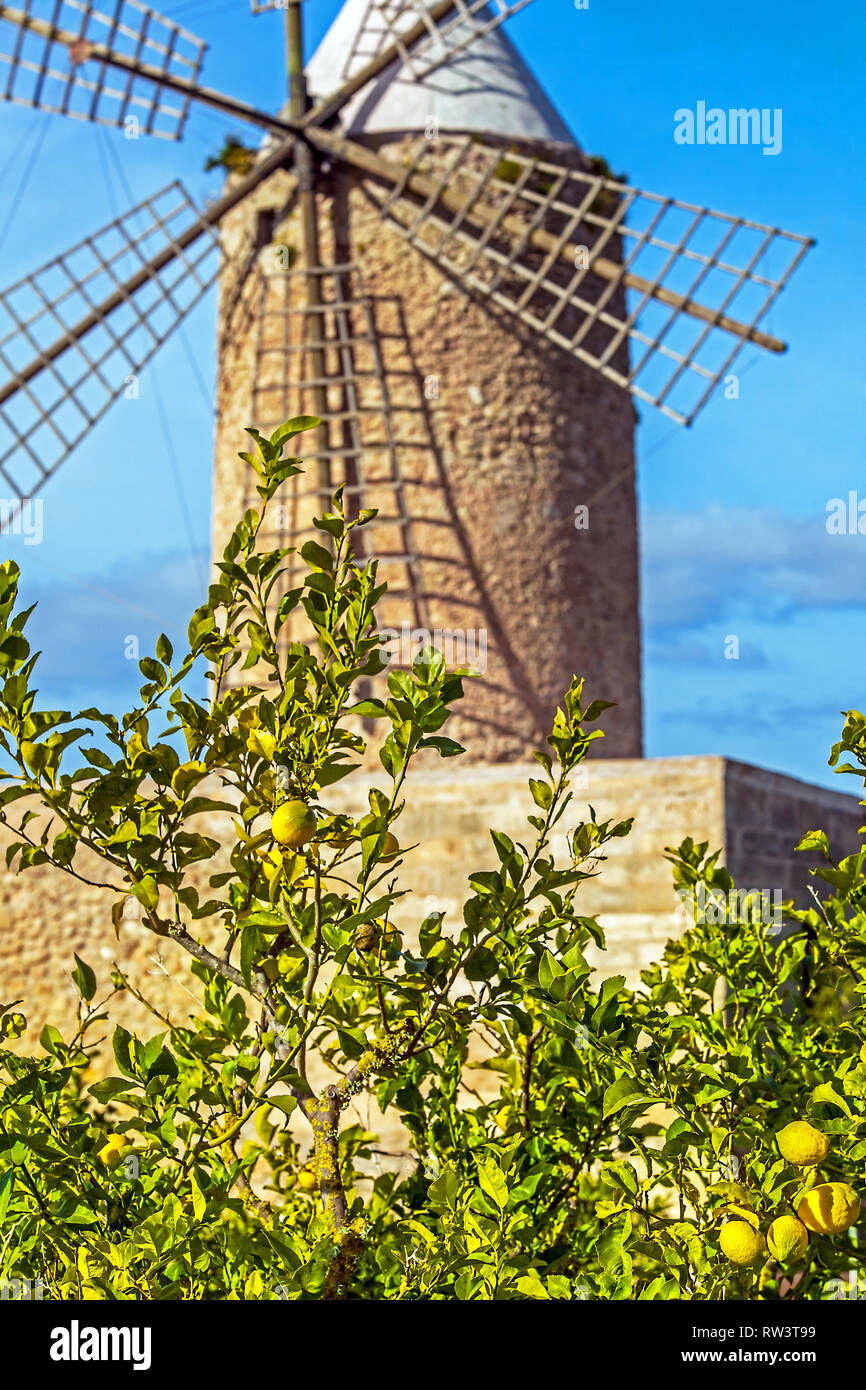 Algadia, Mallorca, Spain, December 17, 2018 An old windmill in the city Stock Photo