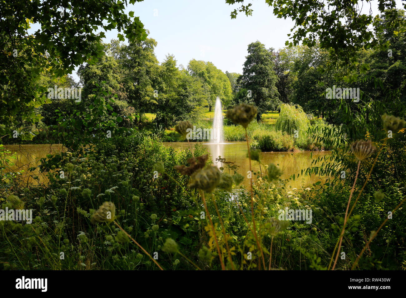 19.08.2016, Essen, Nordrhein-Westfalen, Ruhrgebiet, Deutschland, Parkanlage, hier der Volksgarten Kray, fotografiert anlaesslich der Essen 2017 Gruene Stock Photo