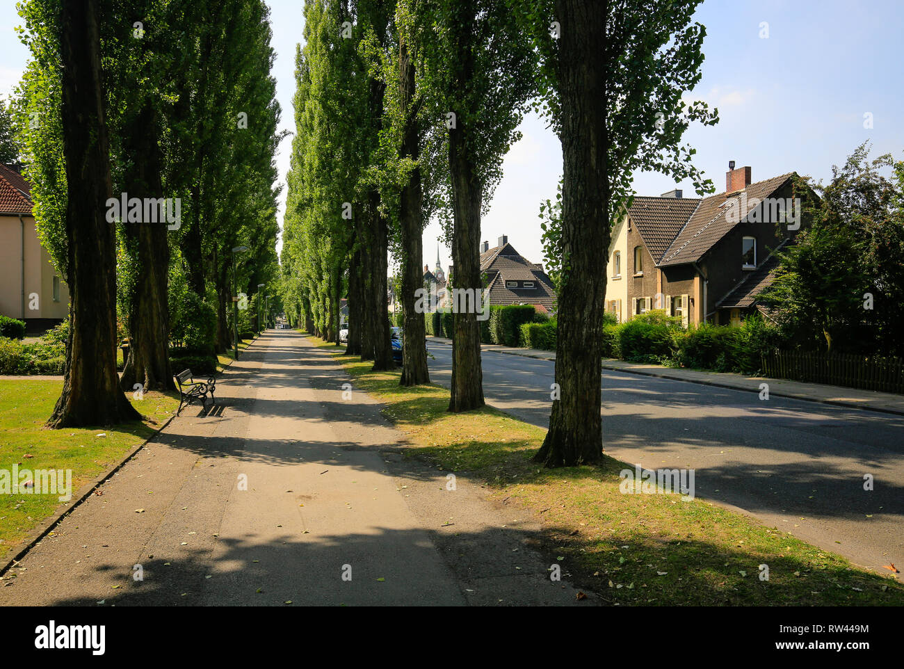Essen, North Rhine-Westphalia, Ruhr area, Germany, Green tree-lined avenue, Ottostrasse directly at the Volksgarten Kray, on the occasion of the Essen Stock Photo
