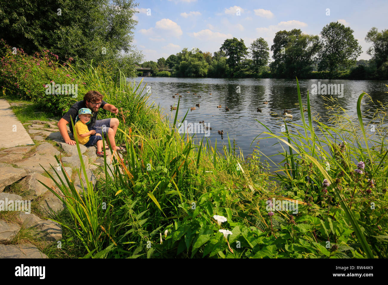 Essen, North Rhine-Westphalia, Ruhr area, Germany, Ruhr promenade in the Steele district, father and son sit on the banks of the Ruhr and feed ducks,  Stock Photo