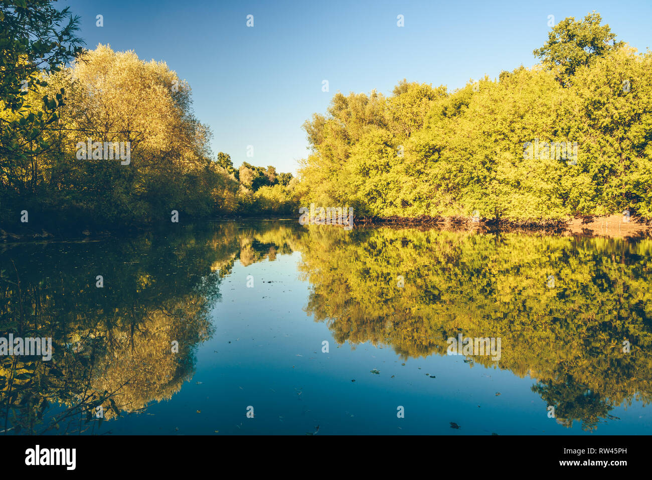 Autumn forest with reflection on water surface of blue lake Stock Photo ...