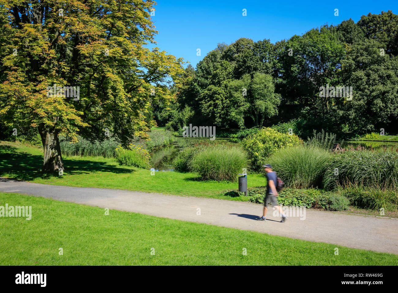 Essen, North Rhine-Westphalia, Ruhr area, Germany, here the Schlosspark Borbeck, photographed on the occasion of the Essen 2017 Green Capital of Europ Stock Photo