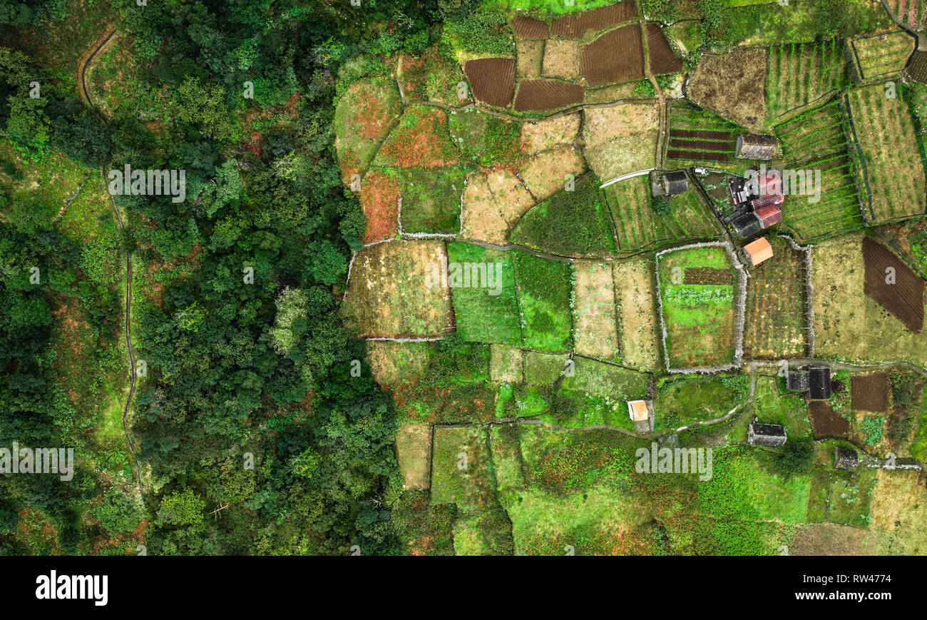 Top view from drone of a farmland in 'Chao da Ribeira', Madeira island, Portugal. Stock Photo