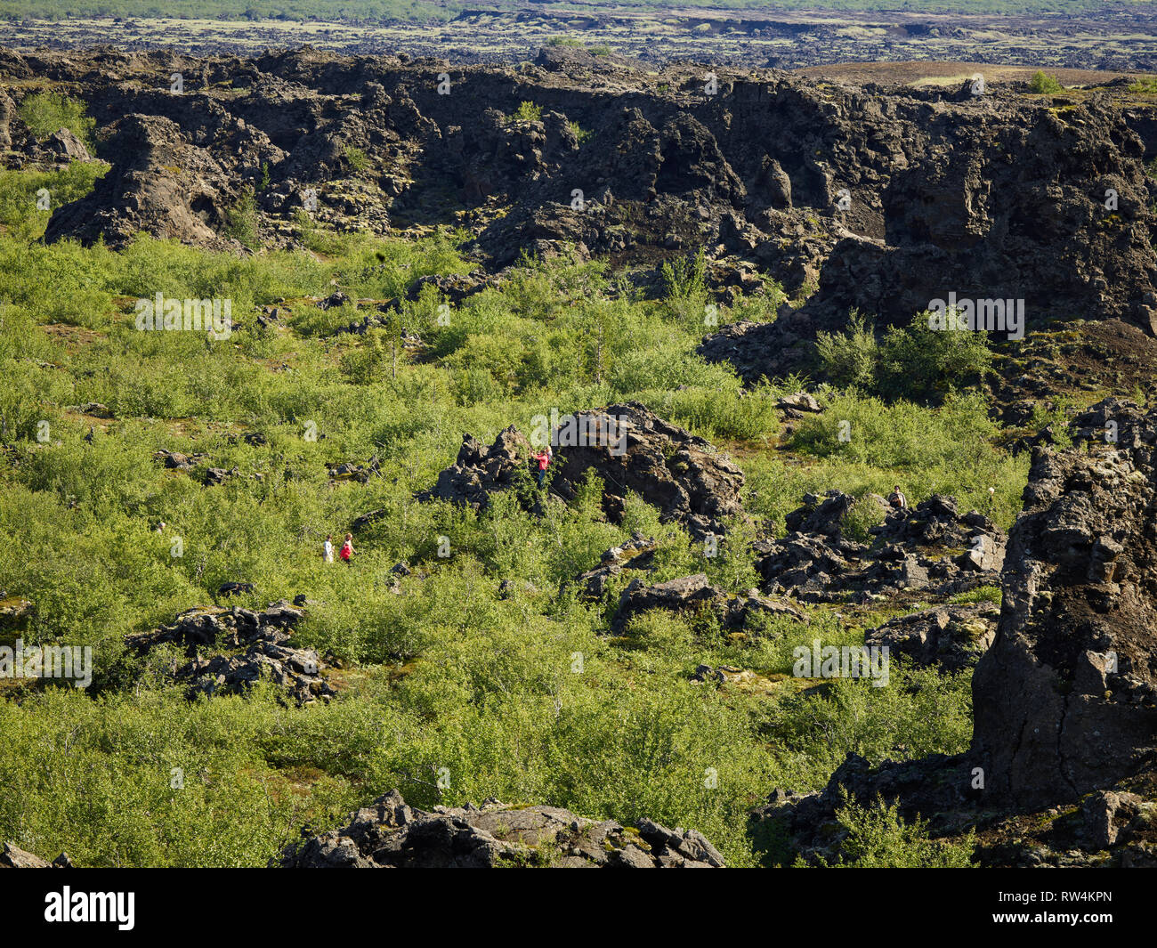 Dimmuborgir -area of unusually shaped lava fields, cave and volcanic rock formations, east of Myvatn, Iceland. Stock Photo