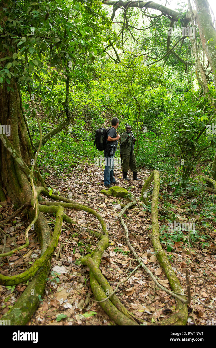 Tourist with guide on a forest path in Kyambura Gorge, Queen Elizabeth NP, Uganda Stock Photo