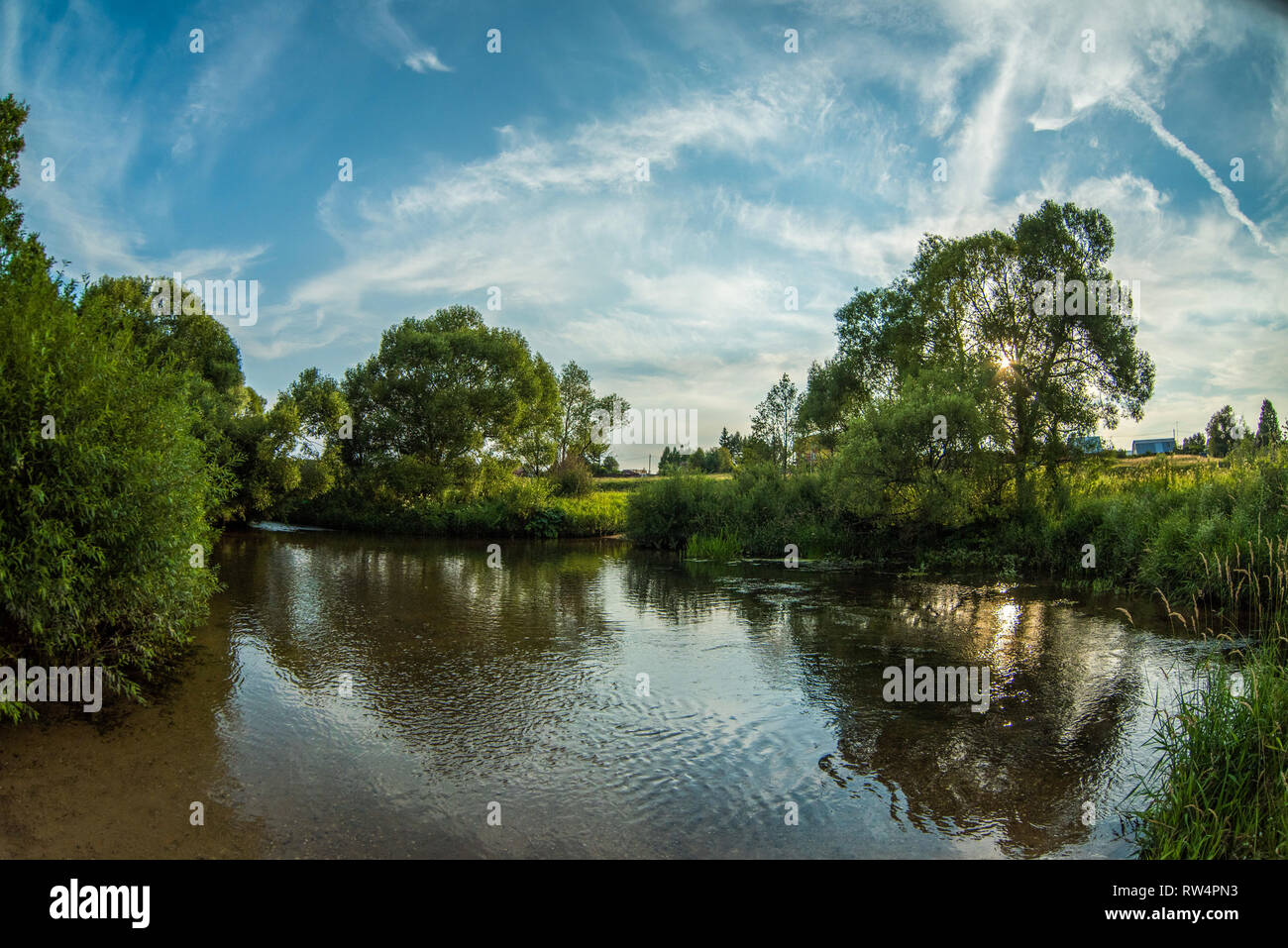 Water reed reflection sky trees hi-res stock photography and images - Alamy