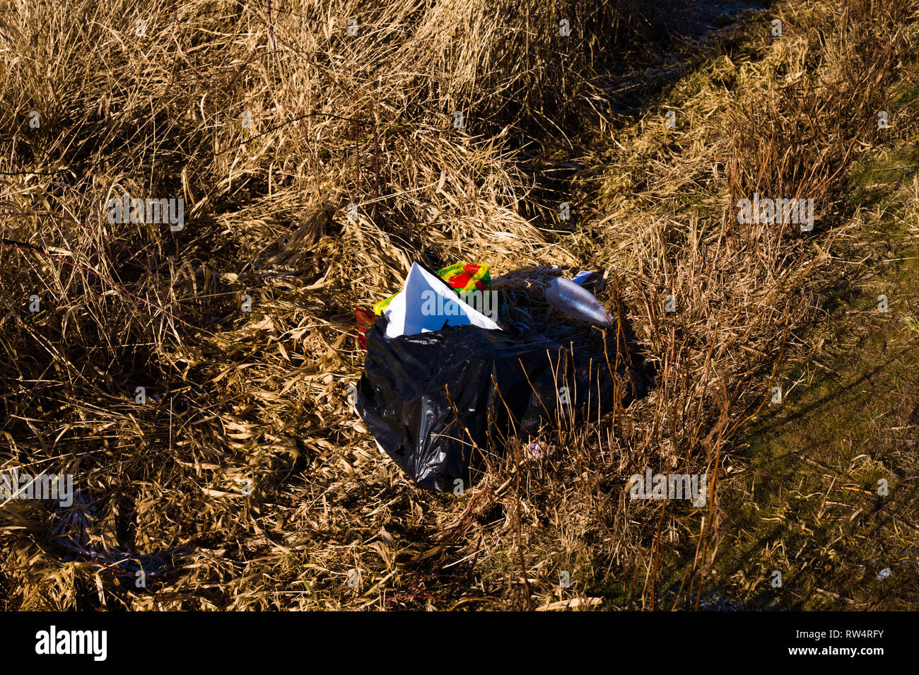 Trash dumped along Colebrook Road by Mud Bay Park in Surrey, British