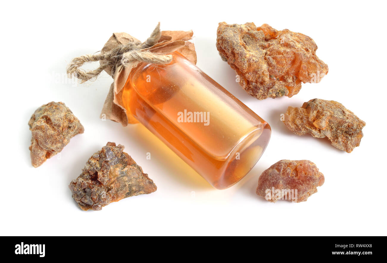 Sweet myrrh or Opopanax, also known as opobalsam. Isolated on white. Stock Photo