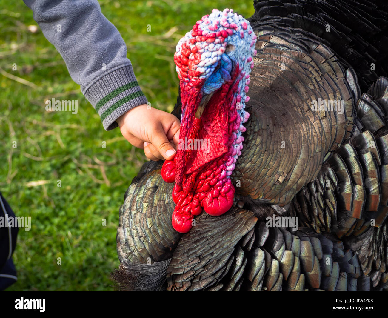 Children in farming hi-res stock photography and images - Alamy