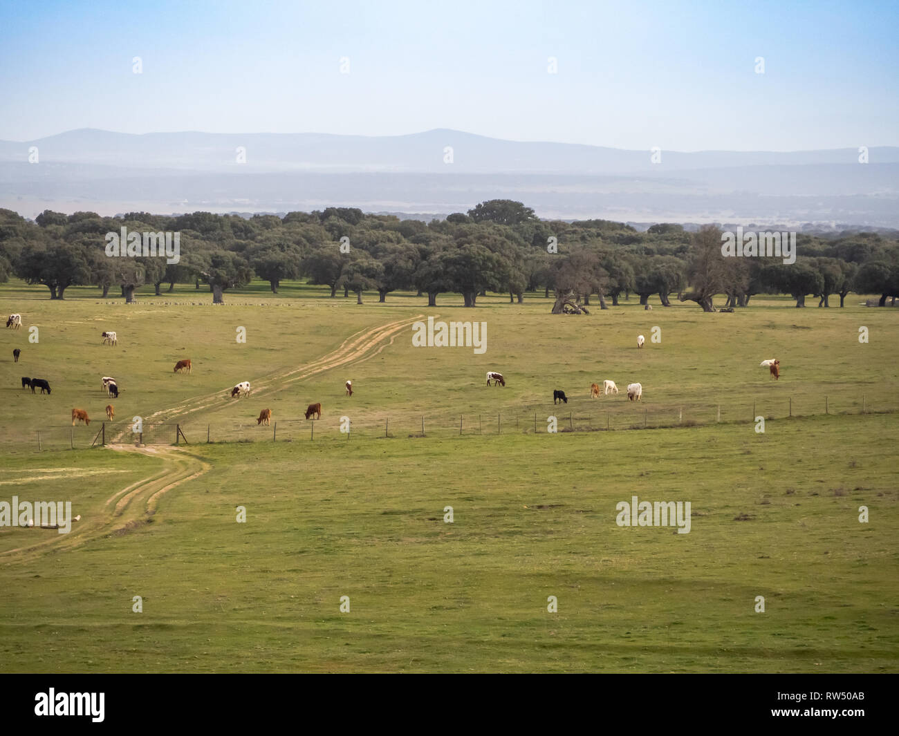 Ecological farming organic farming hi-res stock photography and images ...