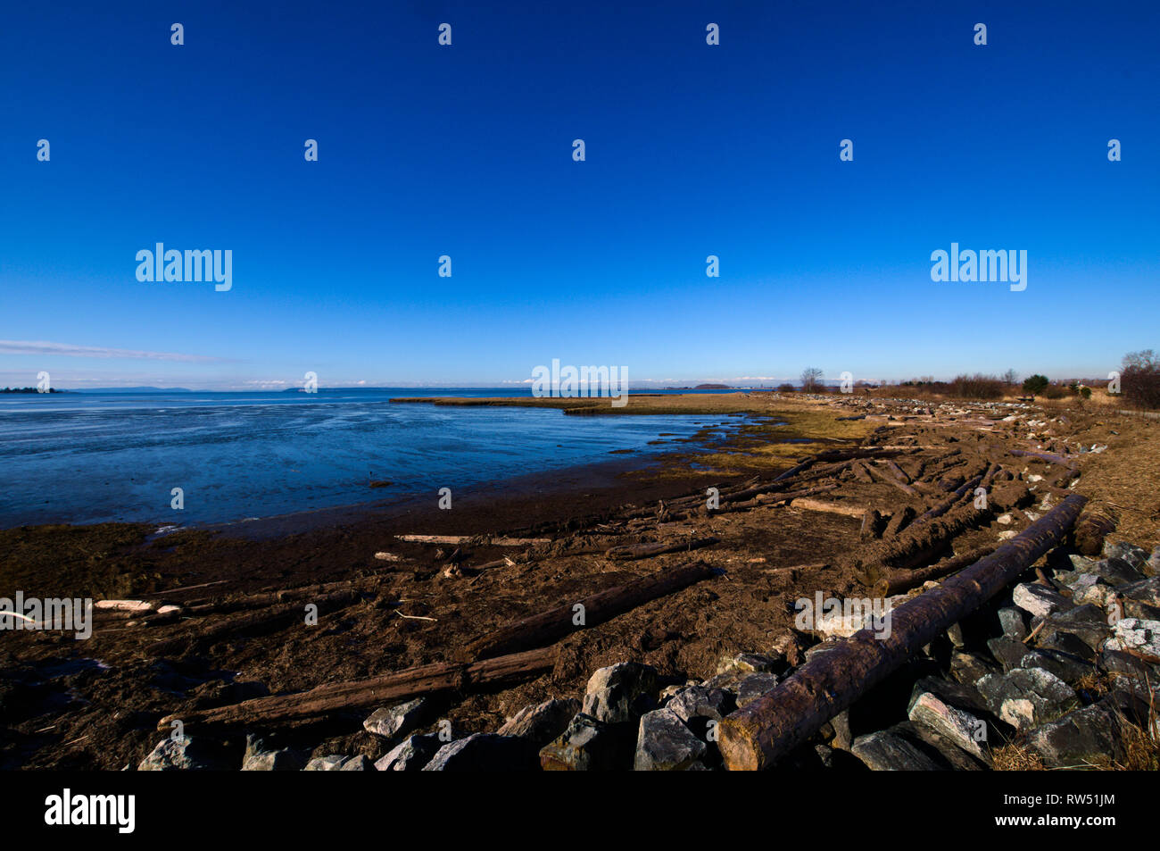 Beach at Mud Bay Park in Surrey, British Columbia, Canada Stock Photo