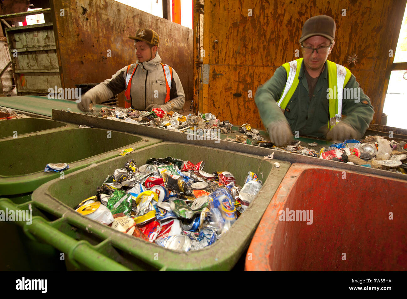 waste, rubbish, recycle, garbage, plant, collection, green, bin, wood