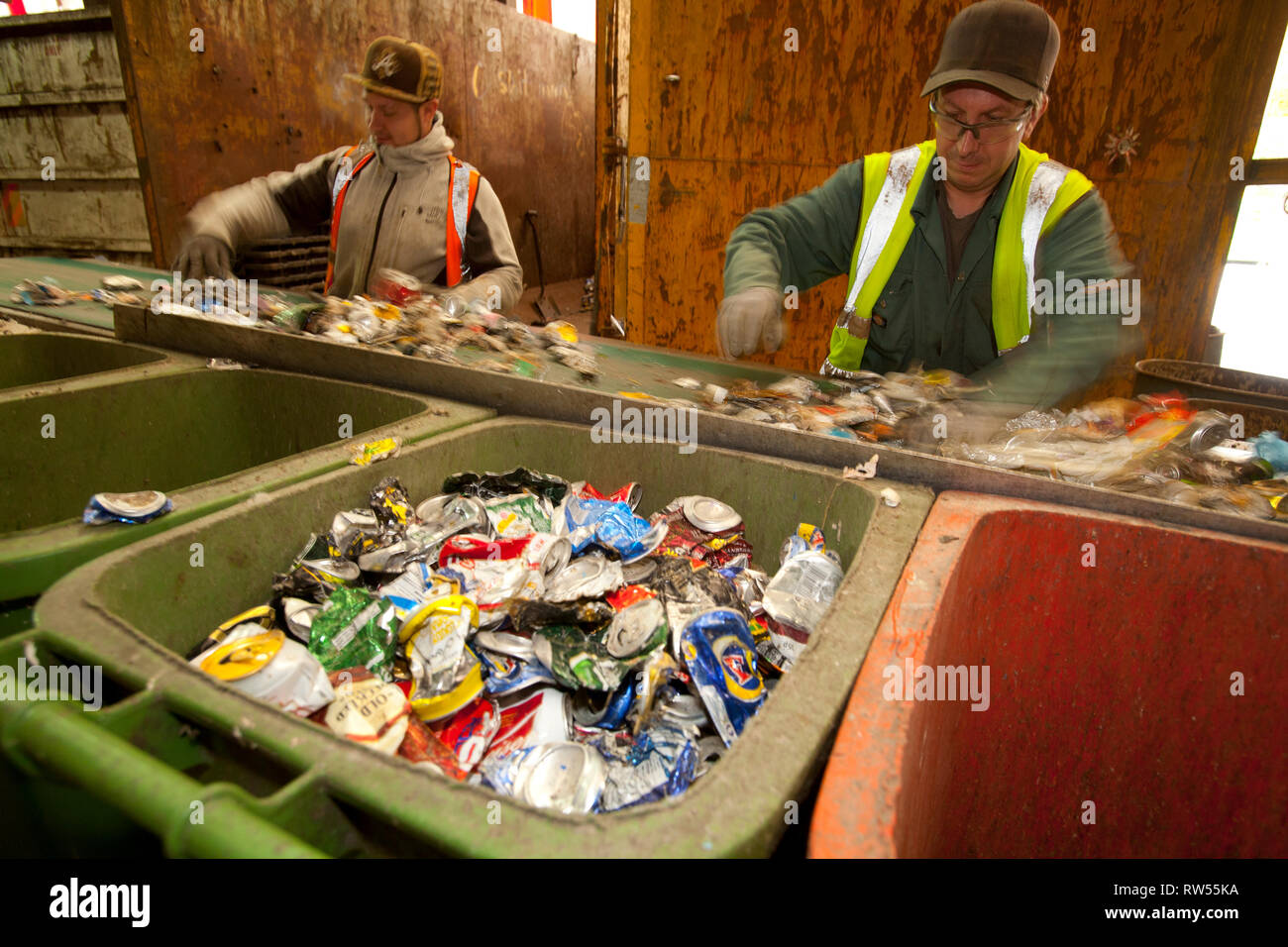 waste, rubbish, recycle, garbage, plant, collection, green, bin, wood