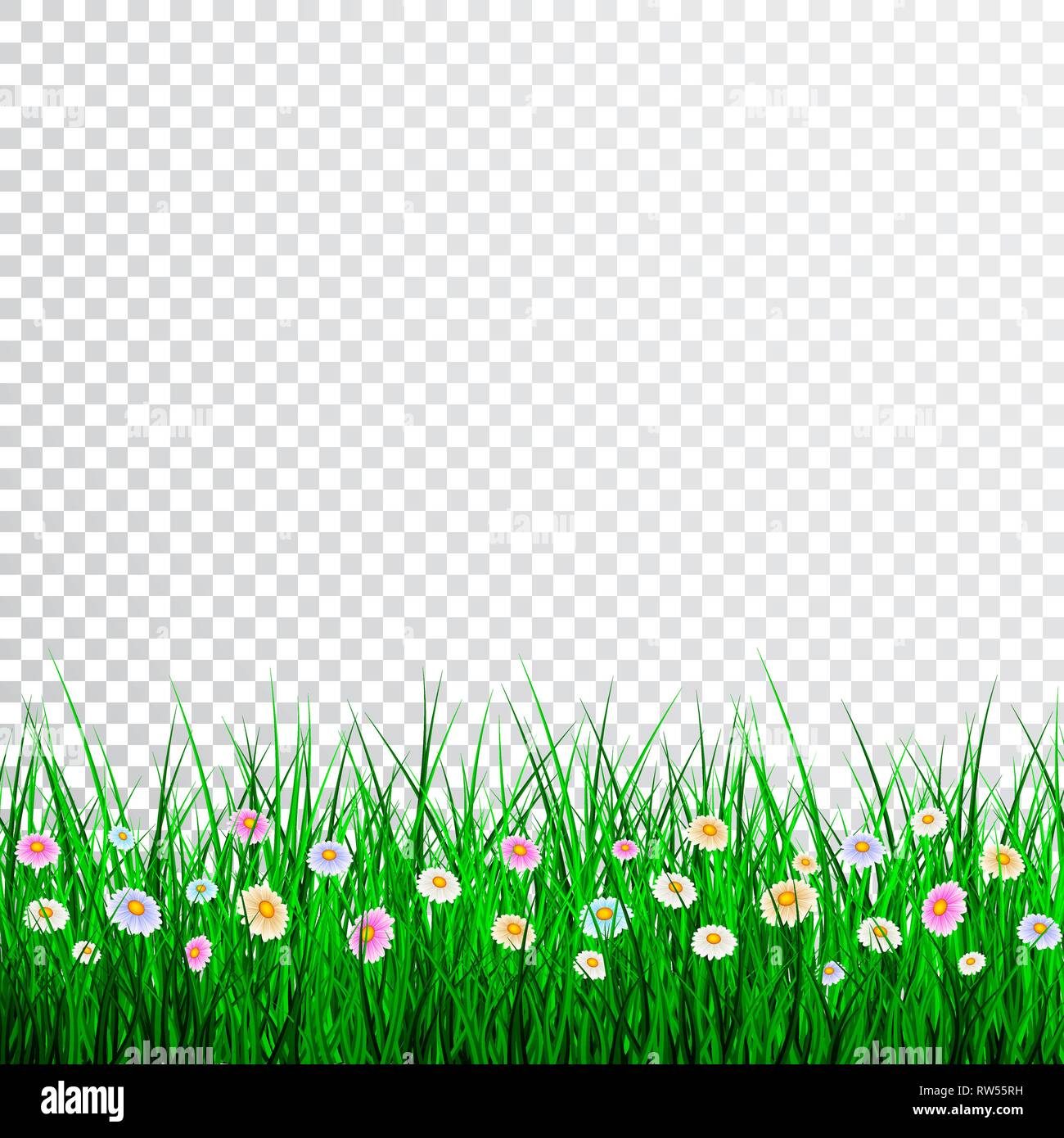 Green Grass with flowers Border Set, Vector Illustration Stock Vector ...