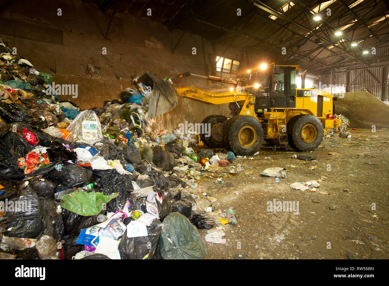 waste, rubbish, recycle, garbage, plant, collection, green, bin, wood